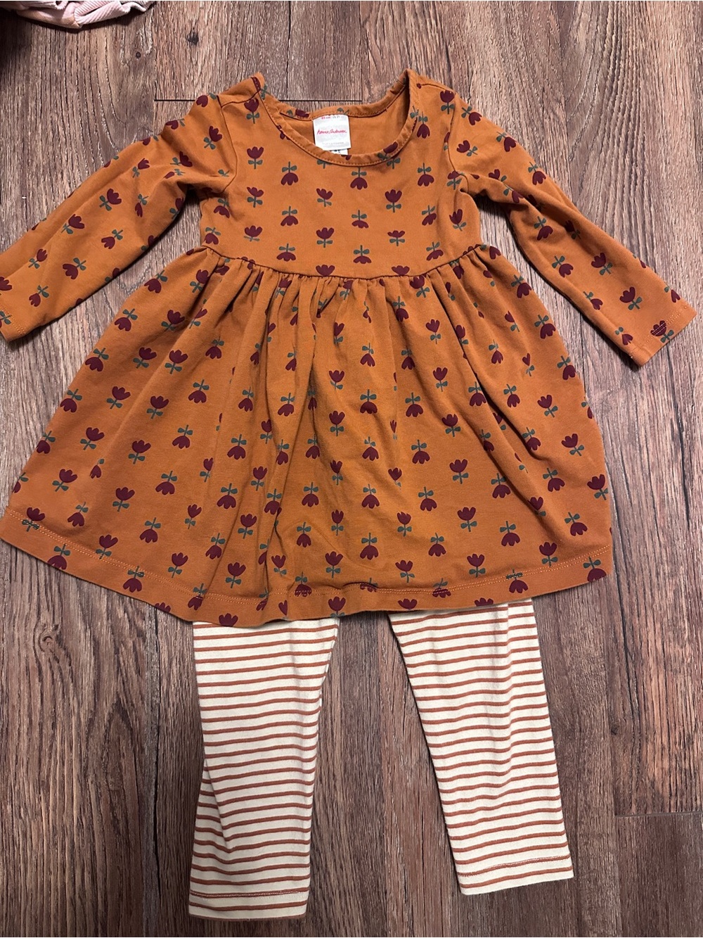 Hanna Andersson Floral Dress with Cream & Tan Striped Leggings